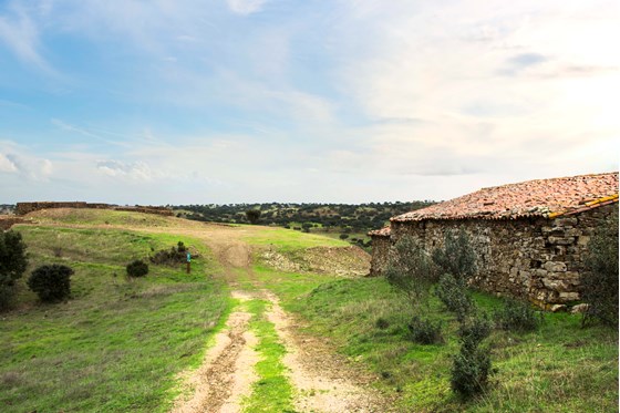 Imagem Património